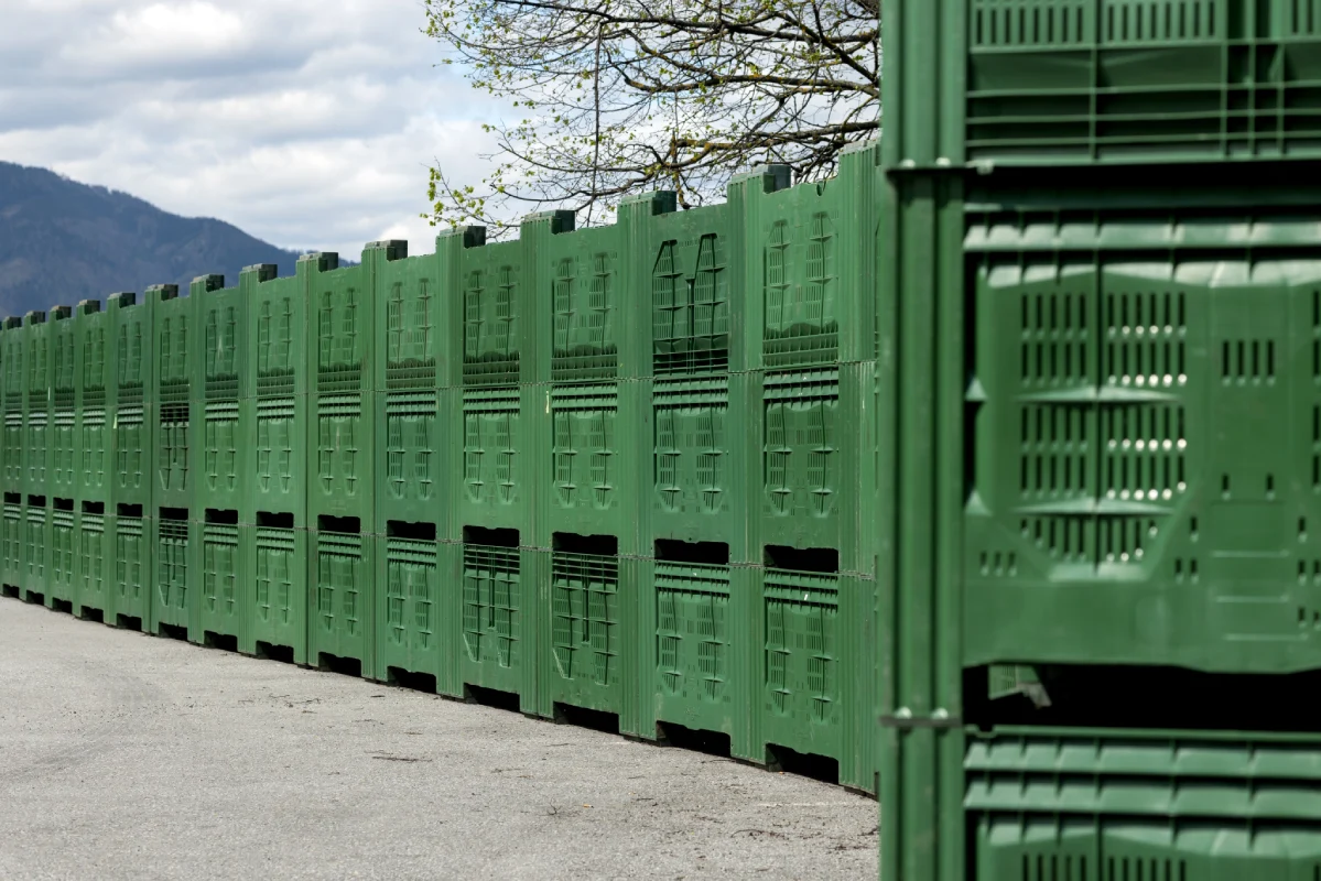 large green plastic containers